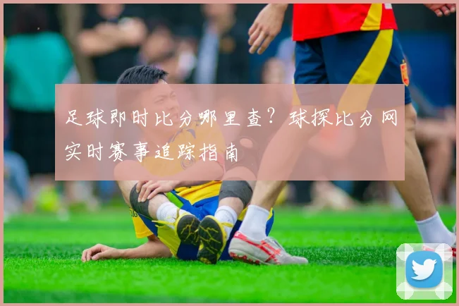 足球即时比分哪里查？球探比分网实时赛事追踪指南