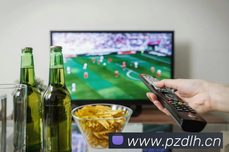 App Interface Preview