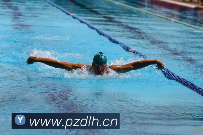 星空官方网站平台APP 封面图